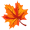 fall-icon